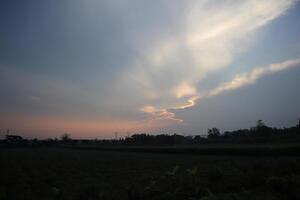 A plane flying over a field with a cloudy sky photo