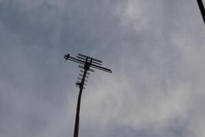 A tall metal pole with a bird on it photo