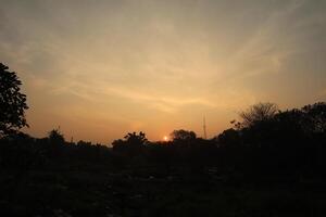 A sunset over a field with trees and grass photo