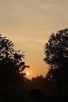 The sun setting over the horizon with trees in the foreground photo