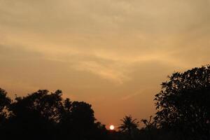 A sunset over the horizon with trees in the foreground photo