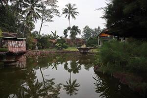 A pond with a fountain in the middle of it photo