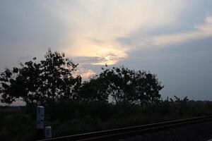 A train is passing by a field with trees photo