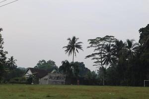 A field with grass photo