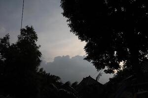 A view of the sky from behind a tree photo