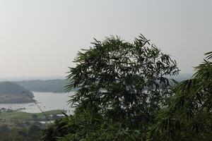A view of a city and a lake from a hill photo