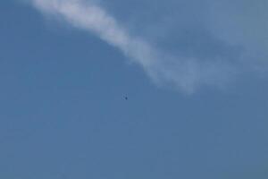 A bird flying in the blue sky with a cloud photo