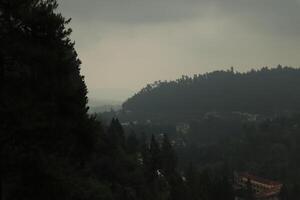 A plane flying over a forested area photo