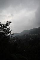 A cloudy sky with a few trees in the foreground photo