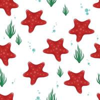 red starfish pattern on white vector