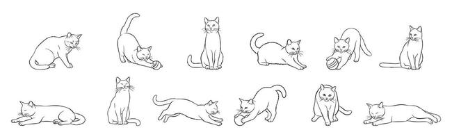 Collection of hand-drawn cat outline sketches in various poses, perfect for pet lovers, Illustration vector
