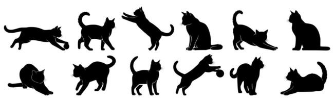 Set of silhouettes of cats on a white background. vector