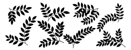 A set of silhouettes of tree branches, leaves, herbs and flowers. vector