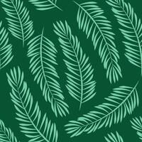 Seamless pattern of flat simple green fir tree branches on green background vector