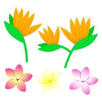 Set of exotic flowers bird of paradise and plumeria vector