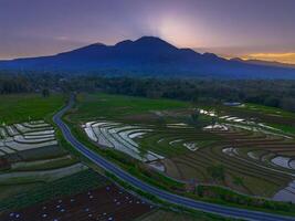 A view of a rice field with a road in the background photo