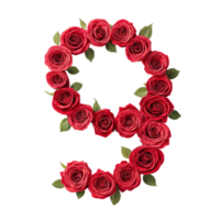 The number nine is made up of red roses png