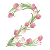 The number two is made up of pink tulips png