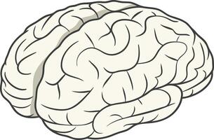 Simple cartoon illustration of a human brain in anatomical view vector