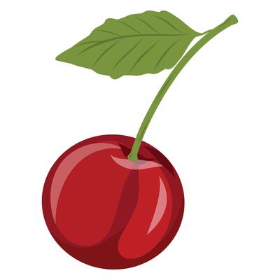 Sweet and fresh hand drawn cherry berry with leaf isolated illustration on a white background, hand drawn cherry