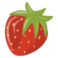 Fresh and sweet strawberry illustration isolated on a white background vector
