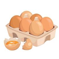 Chicken eggs in carton box with broken egg. Cartoon illustration isolated on white background vector