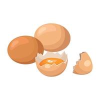 Cartoon chicken eggs. Fresh eggs and broken egg. vector