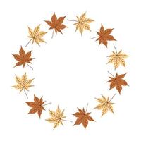 Autumn Maple Leaf Wreath Warm Fall Color Circle Frame for Invitations, Cards and Seasonal Design vector