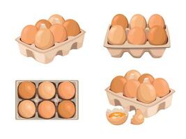 Brown eggs in cartons with cracked shell vector