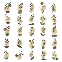 Botanical illustrations with unique plant designs vector