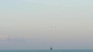 Long shot of jet plane descending over sea. Huge ship floating on horizon video