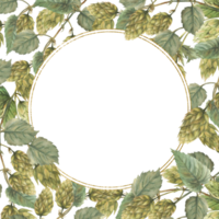 Watercolor hops branch with gold circular frame. Hop bitter leaves and green cones plant curly twig stem Floral Hand drawn illustration for brewing beer label square template. isolated from background png