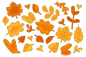 Autumn Leaves Decorative Element Set vector
