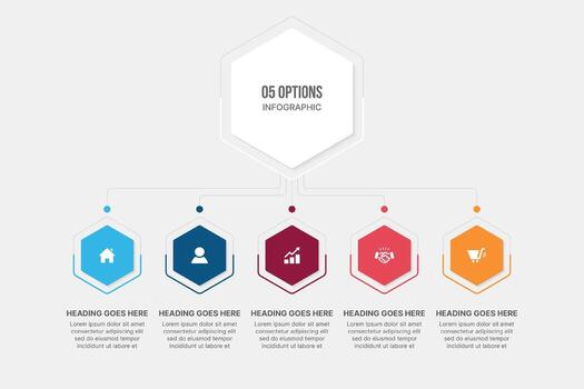 infografía modelo diseño con 5 5 pasos, proceso flujo de trabajo diagrama vector