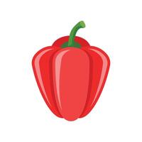 Red pepper pepper icon in flat style on white background vector