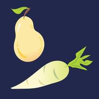 Pear fruit and daikon radish vegetable colorful simple illustration drawing isolated on square background. vector