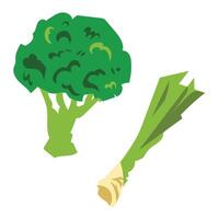 Broccoli and spring onion colorful simple illustration drawing isolated on white square background. vector