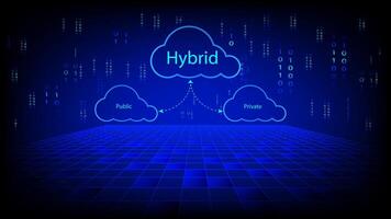 Hybrid cloud concept with public and private cloud symbols connected by arrows on a digital background with binary code and grid floor, representing cloud infrastructure vector