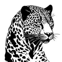 A leopard portrait on a white background. vector