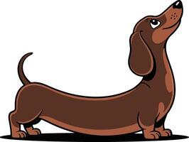 A cartoon dachshund standing up with its head up vector