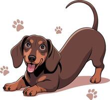 A cartoon dachshund dog with paw prints vector