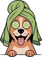 Dog with towel and cucumber on head vector