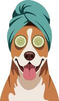 Dog with cucumber on his head vector
