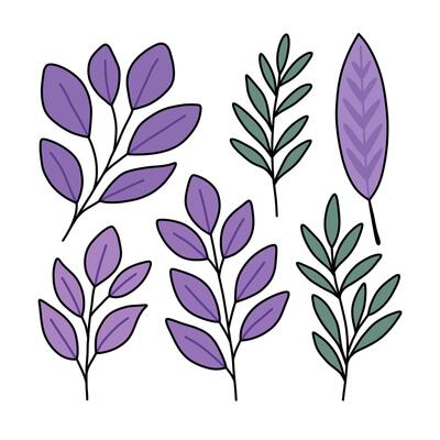 Stylized Purple and Green Leaf Branches with Black Outlines on White Background