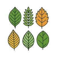 Six Stylized Leaves in Green and Yellow with Black Outlines on White Background vector