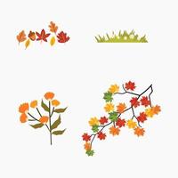Autumn leaves and floral elements collection. vector