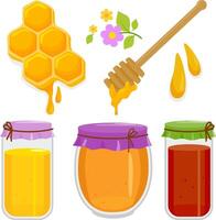 Honey with honey jars, honeycomb and honey dipper. Jar full of fresh honey, wooden stick and honeycombs. Sweet pure honey. vector