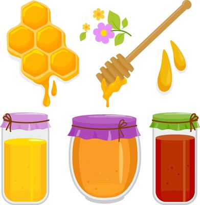 Honey with honey jars, honeycomb and honey dipper. Jar full of fresh honey, wooden stick and honeycombs. Sweet pure honey.