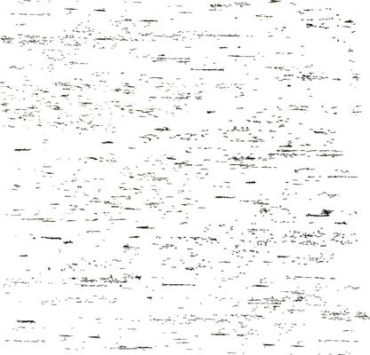 Grunge pattern. Ink stains. Paint splashes on white background. Rough background. Black pattern.