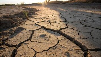 Cracked earth drought dry soil climate change environmental arid sunlight nature. Heat stroke concepts photo